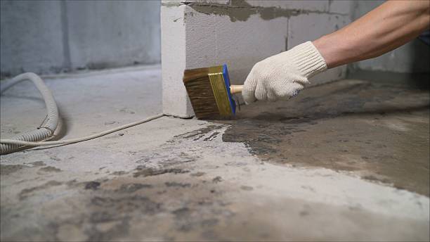 SJ Waterproofing Pros Basement Waterproofing coverage map for Kelso, TN and surrounding area